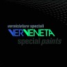 VerVeneta Verniciatura S.R.L.