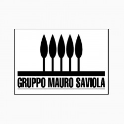 Gruppo Mauro Saviola Srl