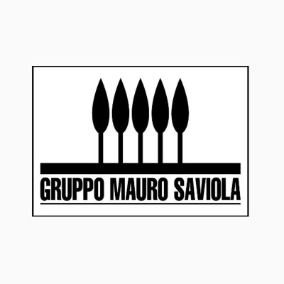 Gruppo Mauro Saviola Srl